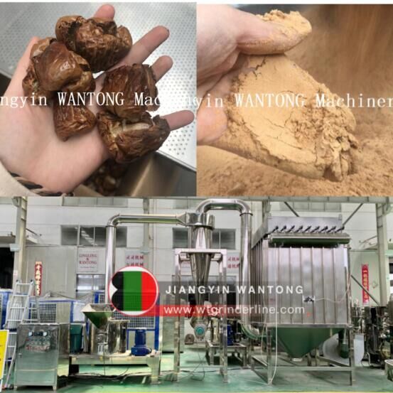 Dates Jujube powder processing grinding grinder machine