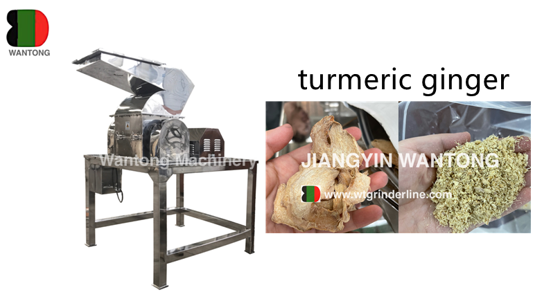 ​How to operate CSJ coarse crusher crushing machine to grind turmeric herb ginger spice