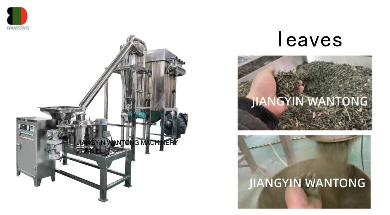 How to Grind Leaves Herb Moringa Cartoon Leave into Fine Powder with Powder Making Machine