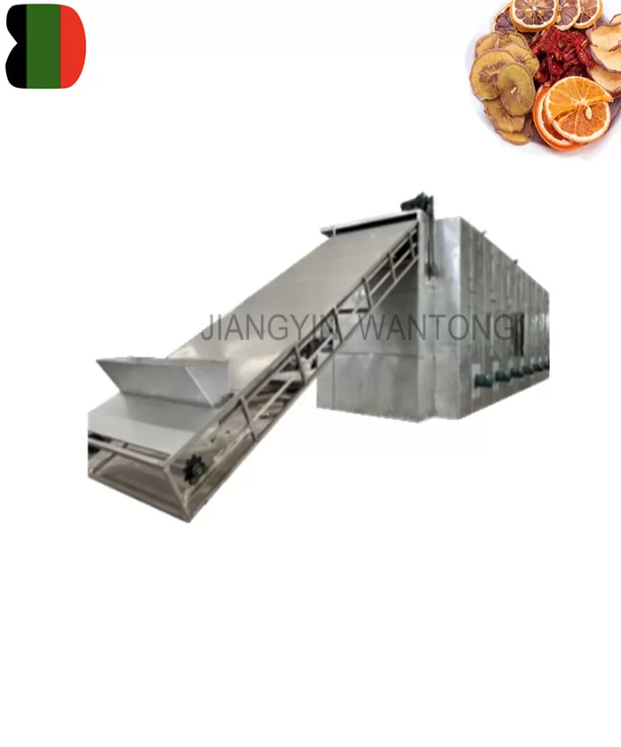 DW66 mango banana fruit mesh belt dryer drying machine