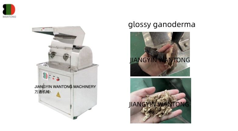 How To Use CSJ Corse Crusher Machine To Crush Glossy Herb Leaves Pumpkin Spice?
