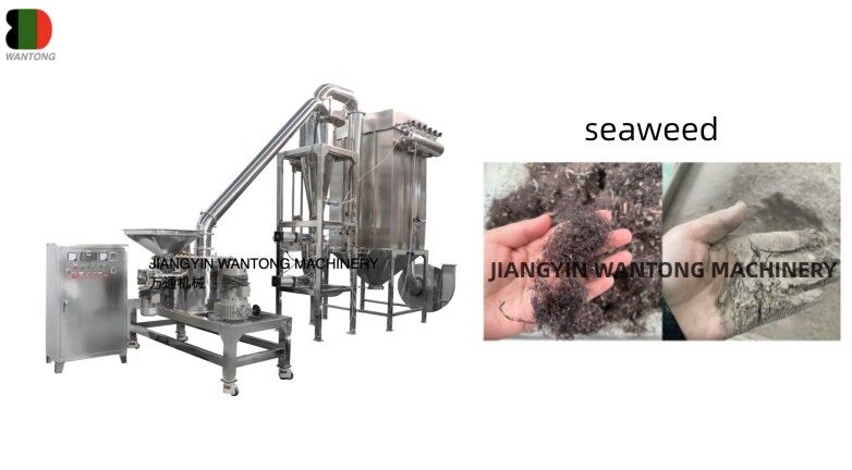 How to Grind Seaweeds Into Fine Powder Grinder Grinding Machine?